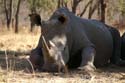 20060906 A (97) - Zimbabwe - Matopos NP - lopend naar neushoorns