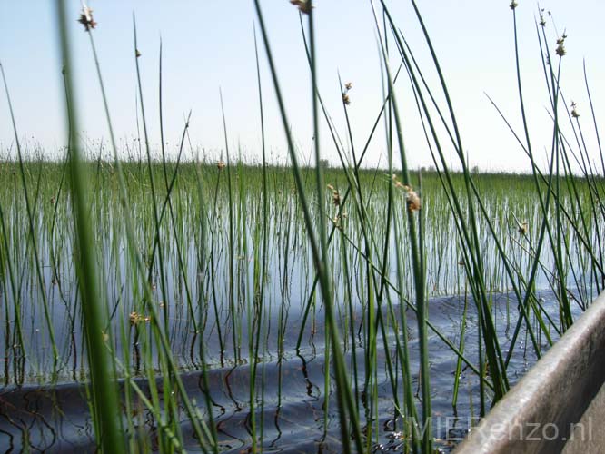 20060911 foto van M (02) - Botswana - Okavango Delta