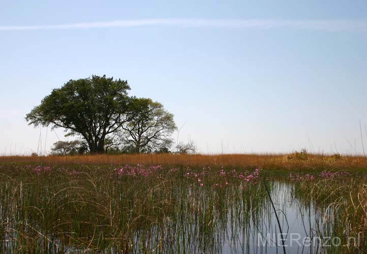 20060911 foto van S&I (1) - Botswana - Okavango Delta