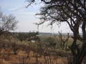 20060909 A (38) - Botswana - Chobe NP