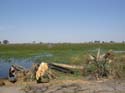 20060911 foto van M (11) - Botswana - Okavango Delta