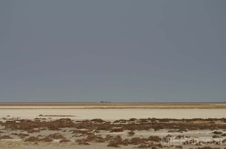 20060917 A (02) Namibië - Etosha NP - gamedrivete