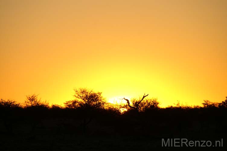 20060917 A (72) Namibië - Etosha NP