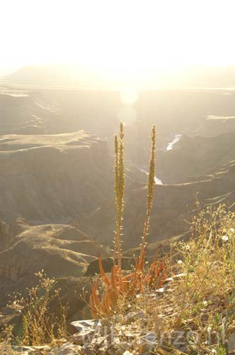 20060923 A (10b) Namibië - Fish River Canyon