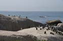 20060929 B (00) Zuid Afrika - Kaapstad - Boulders Beach