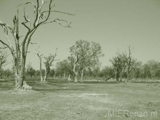 20060912 A (72) - Botswana - Moremi NP