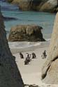 20060929 B (54z) Zuid Afrika - Kaapstad - Boulders Beach