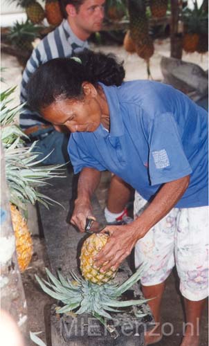 95 Indonesië A (36) Sumatra - Ananasje eten langs de weg