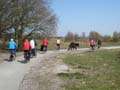 20100418 (4) En nu paarden op de weg