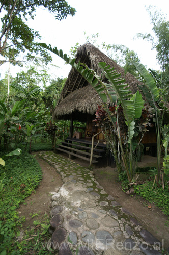 20080428 A (59) Cotochocha Amazon Lodge