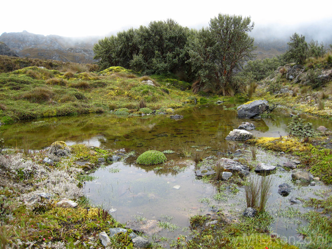 20080510 A (02) El Cajas