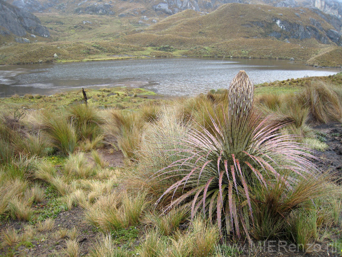 20080510 A (09) El Cajas