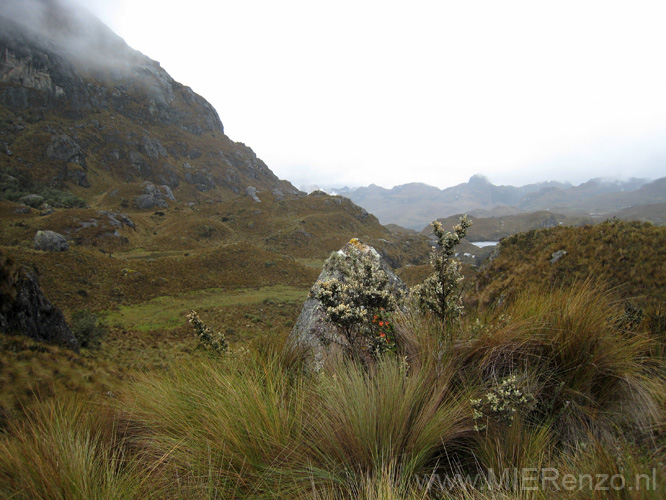 20080510 A (23) El Cajas