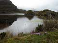 20080510 A (61) El Cajas