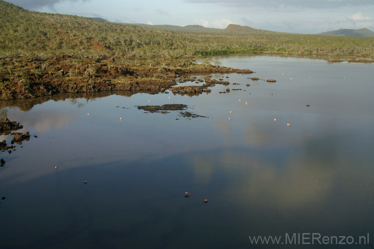 20080514 A (10) Floreana - Cormorant Point - Flamingo's