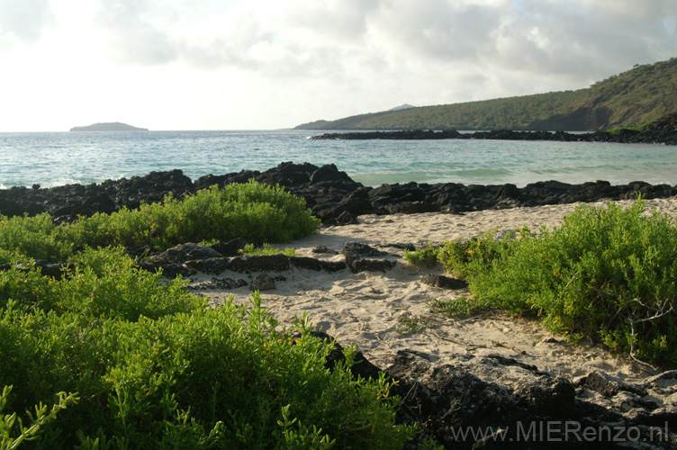 20080514 A (18) Floreana - Cormorant Point