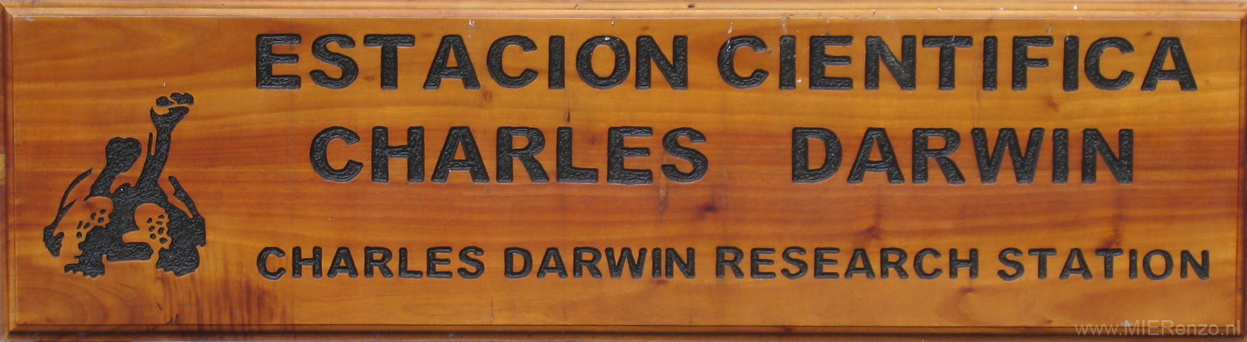 20080515 A (01a) Santa Cruz - Darwin Station