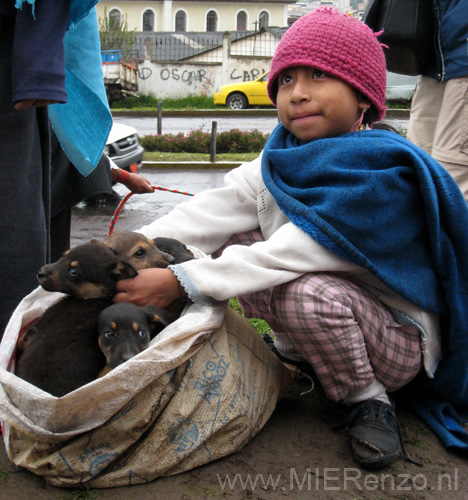 20080517 A (06) Markt Otavalo