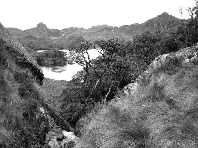 20080510 A (39) El Cajas