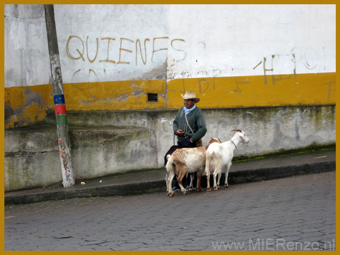 20080517 A (36) Markt Otavalo