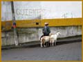 20080517 A (36) Markt Otavalo