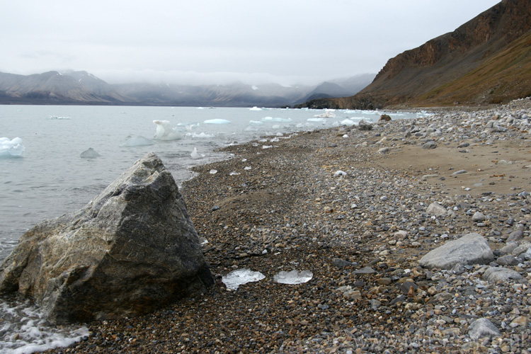 20100831172313 Spitsbergen - 14 July Glacier