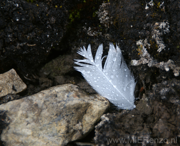 20100903100234 Spitsbergen