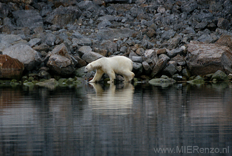 20100905205340 Spitsbergen - Holmiabukta