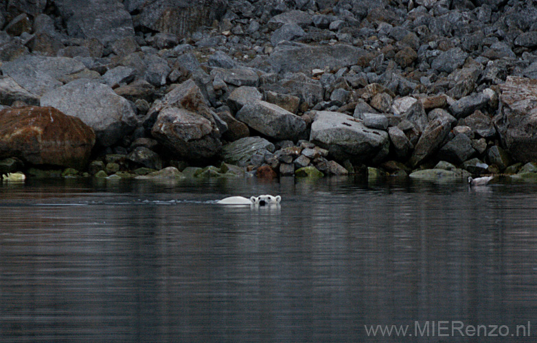 20100905210854 Spitsbergen - Holmiabukta - even zwemmen