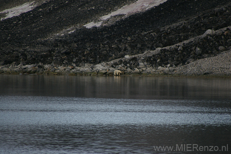 20100906174807 Spitsbergen - Magdalenafjord - en dan loopt hij onze kant op