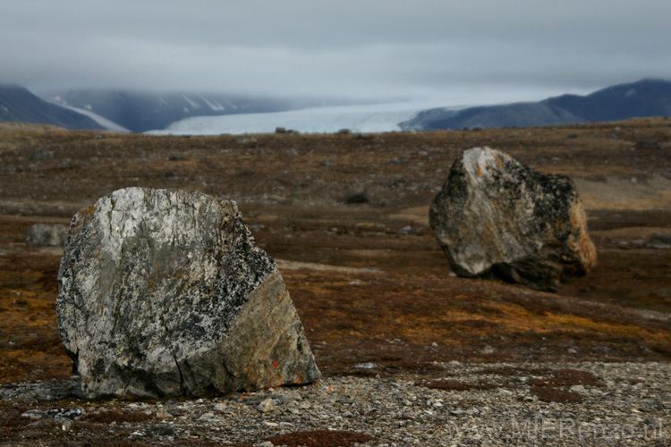 20100907151557 Spitsbergen - Blomstranden