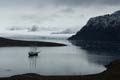 20100901115328 Spitsbergen - Signe harbour