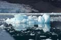 20100903131211 Spitsbergen - Monacobre Gletsjer