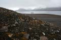 20100909164721 Spitsbergen - Tryghamna-